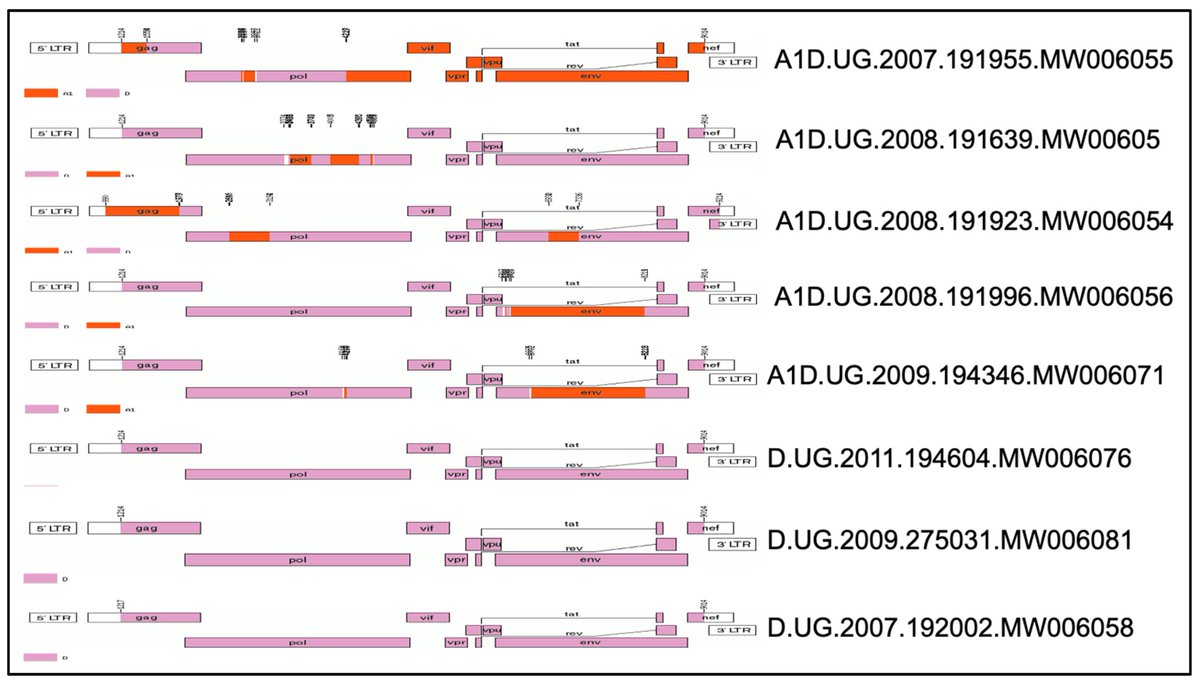 VirusesMDPI's tweet photo. Subtype AD Recombinant HIV-1 Transmitted/Founder Viruses Are Less Sensitive to Type I Interferons than Subtype D

✍️by Omara et al. 

🔎Find out more about this insightful research here 👉https://t.co/r8x63QqEjS
#HIV #virus #Immunology https://t.co/aA3KGKc4r0