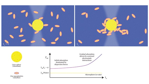 Novel method may transform understanding of adsorption &amp; help control industry processes

Researchers have recently shown that using optical tweezer electrophoresis can help us understand how particles stick to surfaces at tiny scales, at shorter time-scales, a phenomenon that is