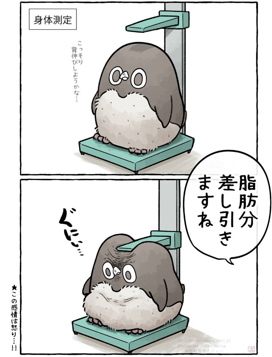 GnmaFvXbcAAdeuG.jpg