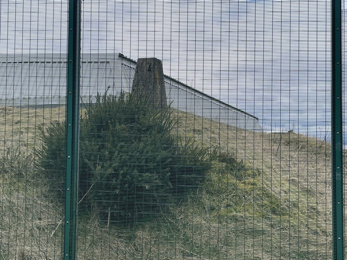 A very sad Trig. Above Brinscall. Free the Brinscall One!!

@TrigThursday
<a href="/trigbagging/">UK Trigbagging</a> 
#trigpointthursday