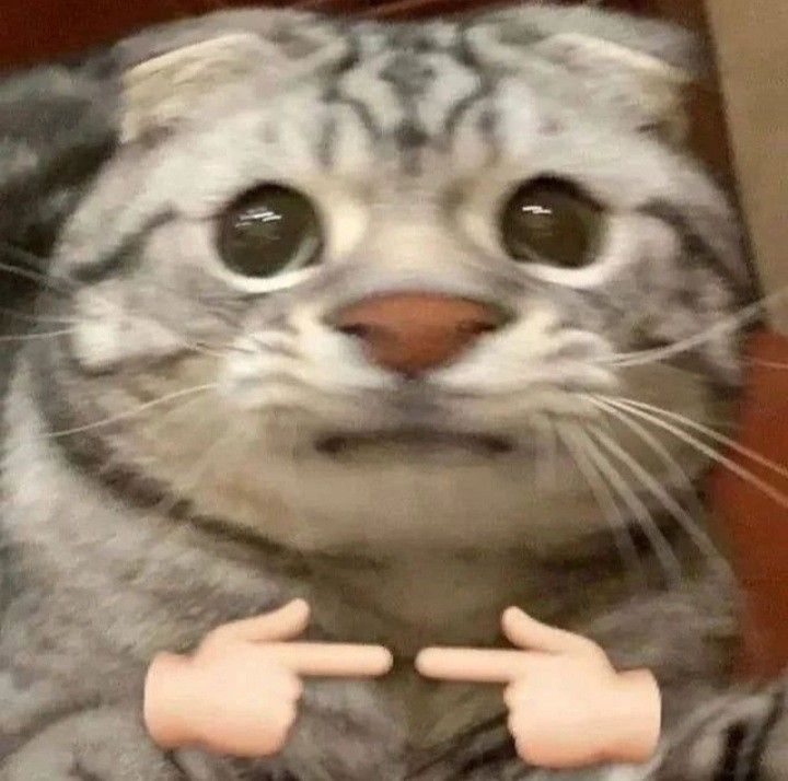 上司から「ロブロックスの市場を開拓しろ」と言われたけど、どうやってRobloxプレイヤーのフォロワーを増やせばいいのか全然思いつかない…🤔💦  
うーん、そうだ！Robuxをプレゼントしちゃおうかな？🎁💰  
もしこのツイートが6⃣6⃣RT達成したら、RTから抽選して、かなりの量のRobuxを配っちゃいます！