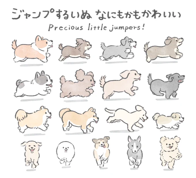 飛行いぬ愛好家です。飛んだ瞬間のいぬを見ることで寿命を伸ばしています。 