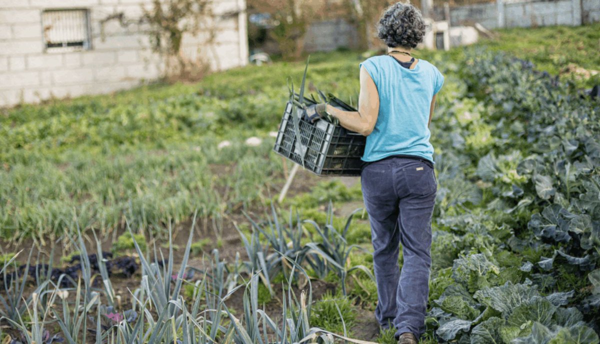 La #AgriculturaFamiliar es clave para la economía rural q sin una ley que la proteja seguirá desapareciendo

Urge garantizar acceso a la tierra, precios justos y ayudas bien dirigidas de la #PAC
Propuestas de <a href="/greenpeace_esp/">Greenpeace España</a> <a href="/WWFespana/">WWF España 🐼</a> <a href="/SEO_BirdLife/">SEO/BirdLife</a> <a href="/AmigosTierraEsp/">Amigas de la Tierra</a> <a href="/ecologistas/">Ecologistas en Acción</a>: