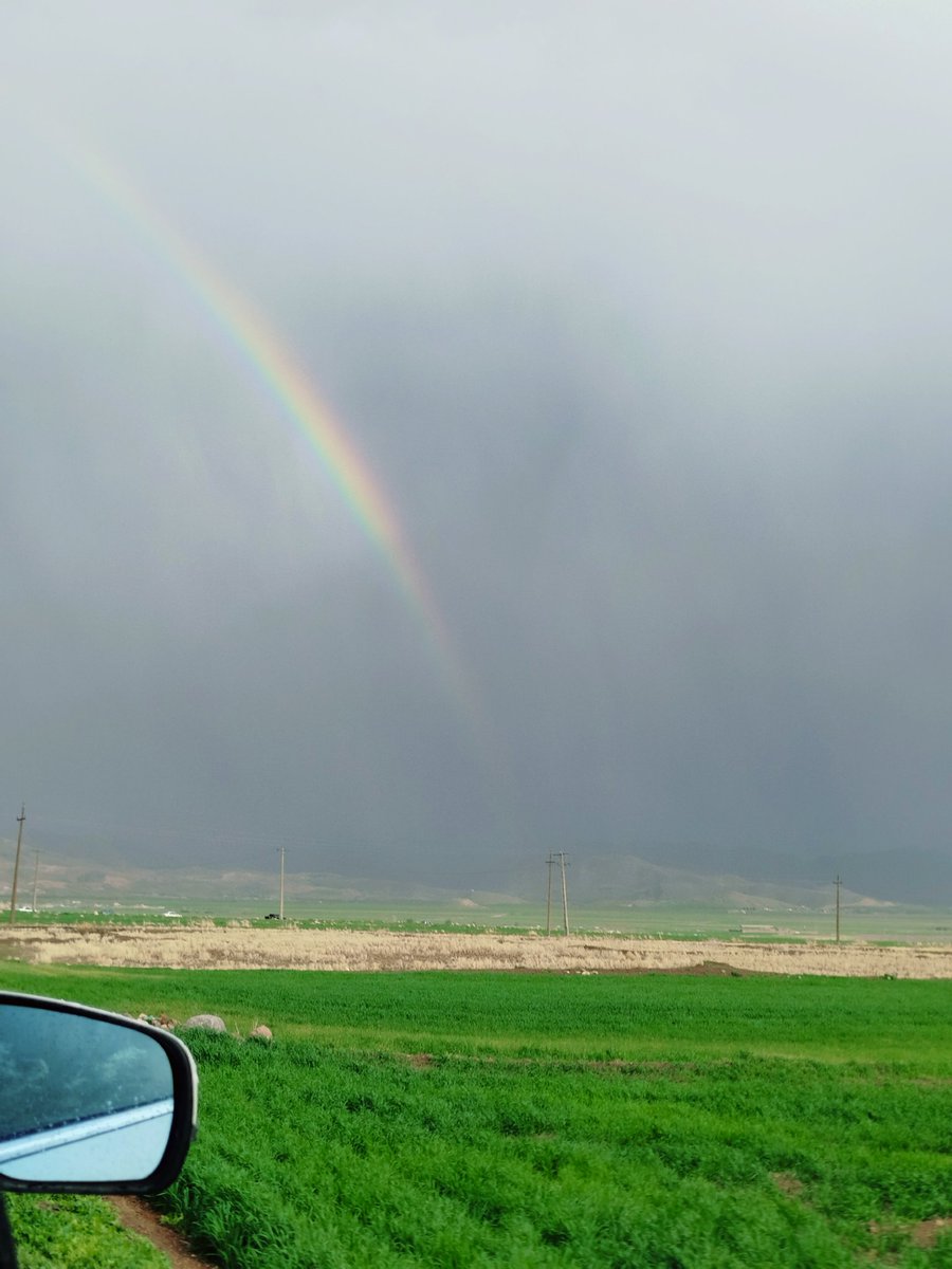 خاکستر دیروز رنگی‌رنگیه