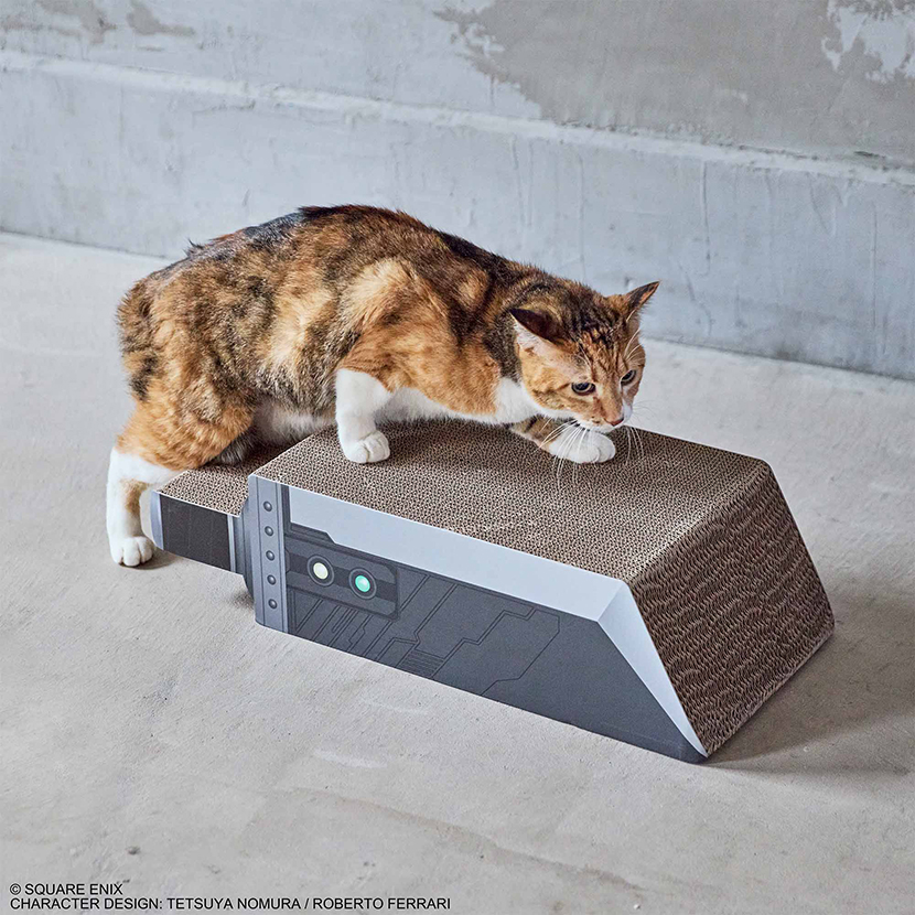 ７、謎の大型ネコ科動物の爪