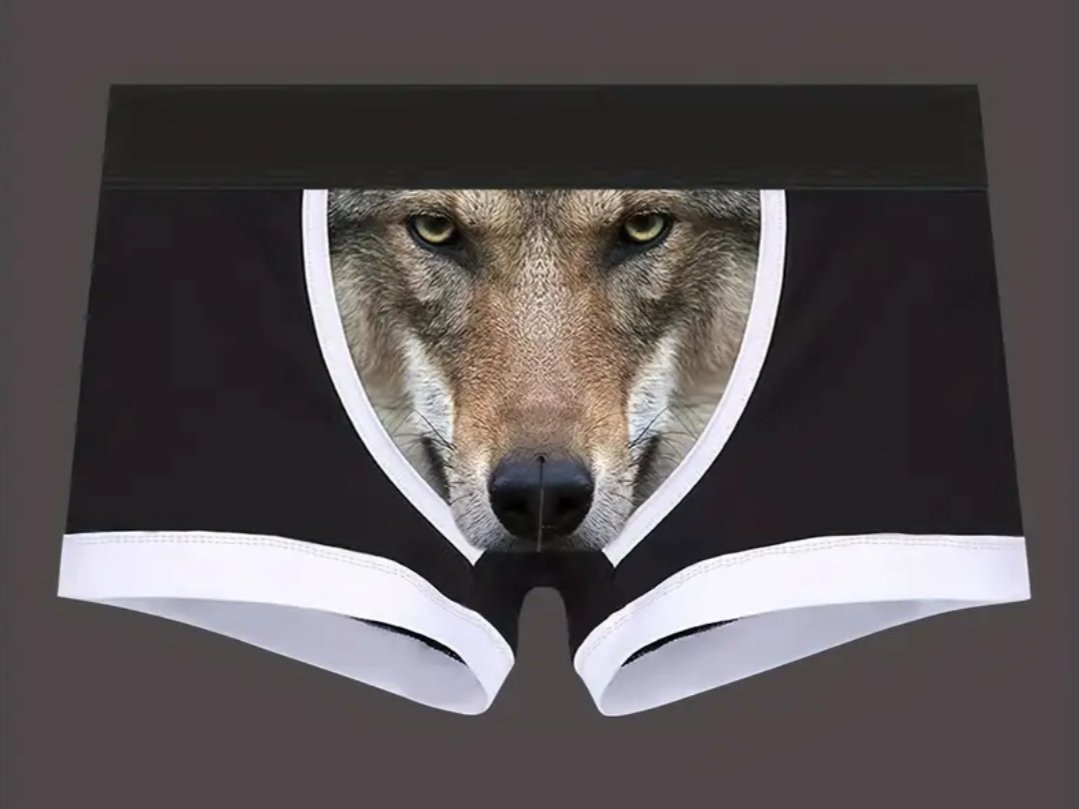 ADA Cardano CNFT tweet media