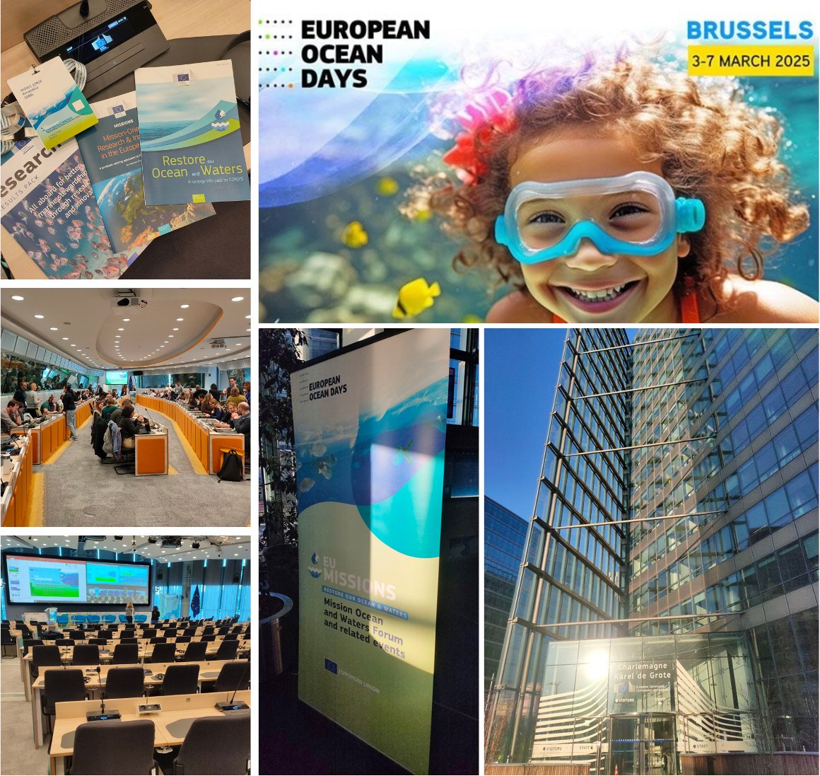 BIOcean5's tweet image. #ThrowbackThursday #TBT

🌊#EuropeanOceanDays last month was a unique opportunity to network, connect and dialogue with colleagues working on EU partner projects contributing to @OurMissionOcean objectives

#EUMissions #MissionOcean #EU4Ocean #EuropeanOceanPact 

[1/3]