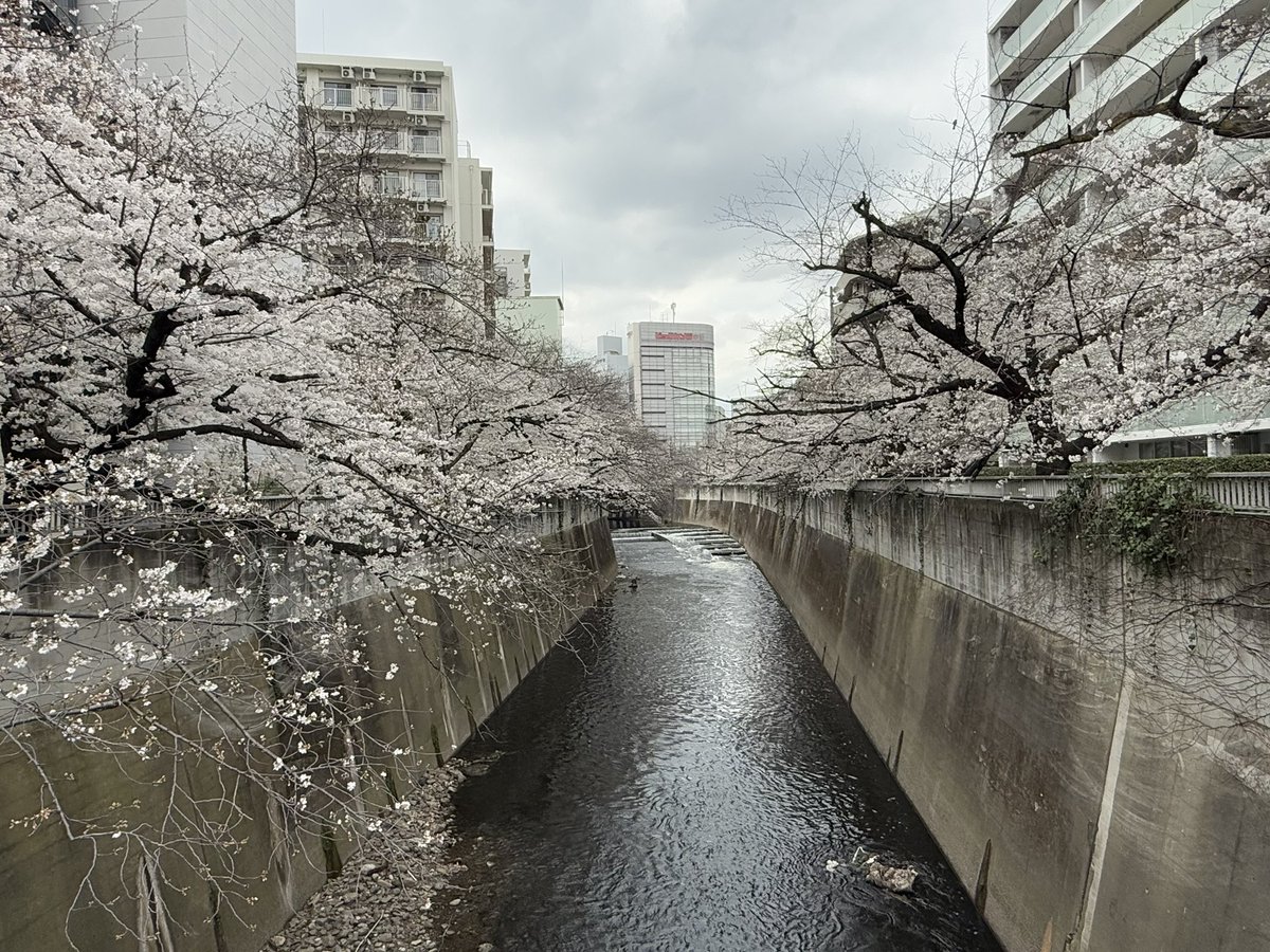 just turned off my phone and walked and this is what i found