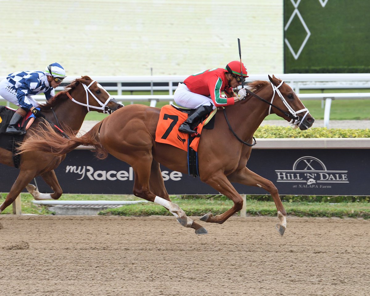 Expect the Best #GulfstreamPark #CuampionshipMeet