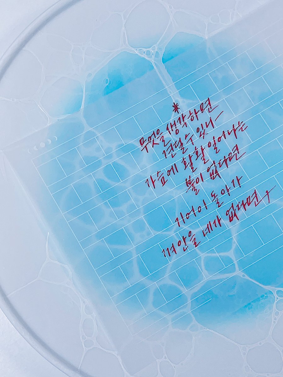 🌺
무엇을 생각하면 견딜 수 있나.
가슴에 활활 일어나는 불이 없다면.
기어이 돌아가 껴안을 네가 없다면.

: 작별하지 않는다 / 한강