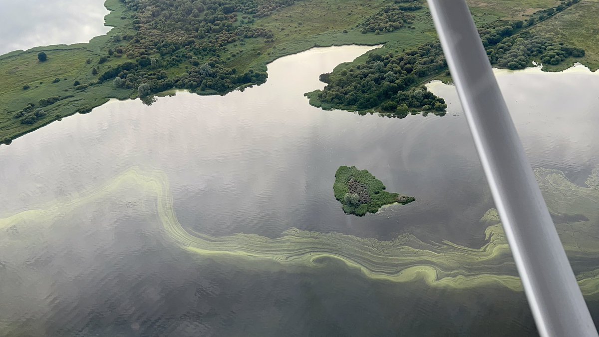 Shauna Corr 🌍 (@shaunareports) on Twitter photo 🚨 The <a href="/OfficeforEP/">The Office for Environmental Protection</a> says the condition of protected natural NI sites like Lough Neagh, Lough Erne & Rathlin are getting worse, not better, and that not enough of our ‘natural treasures’ are legally protected in a new report… 🧵 🚨 The <a href="/OfficeforEP/">The Office for Environmental Protection</a> says the condition of protected natural NI sites like Lough Neagh, Lough Erne & Rathlin are getting worse, not better, and that not enough of our ‘natural treasures’ are legally protected in a new report… 🧵