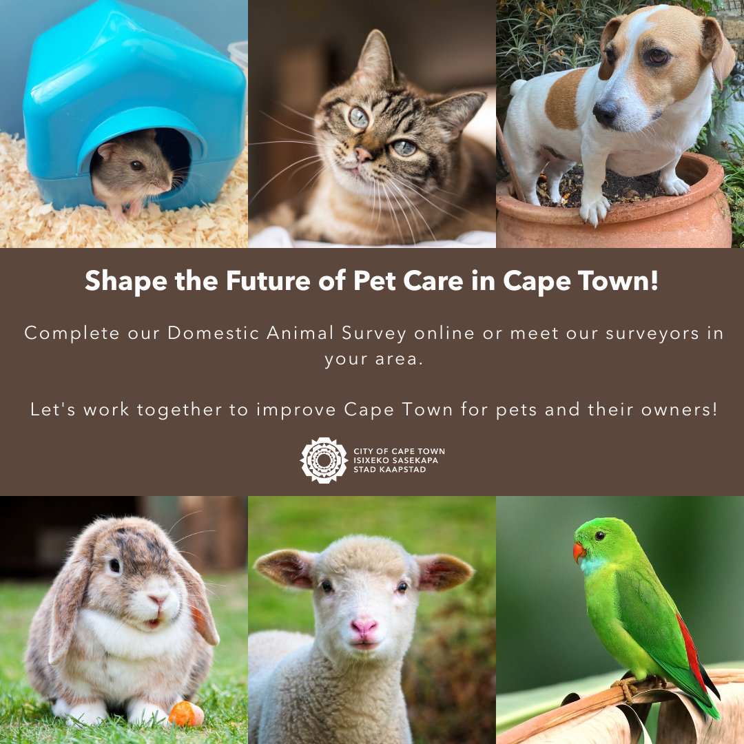 Your furry friends have a voice and you can help amplify it! 🐶🐱

Participate in the Domestic Animal Survey!

Click the link bit.ly/AnimalSurveyCT to participate or watch for our field workers in your area! 💖

#CTAnimalSurvey #CapeTownPets #AnimalWelfare #MakeADifference