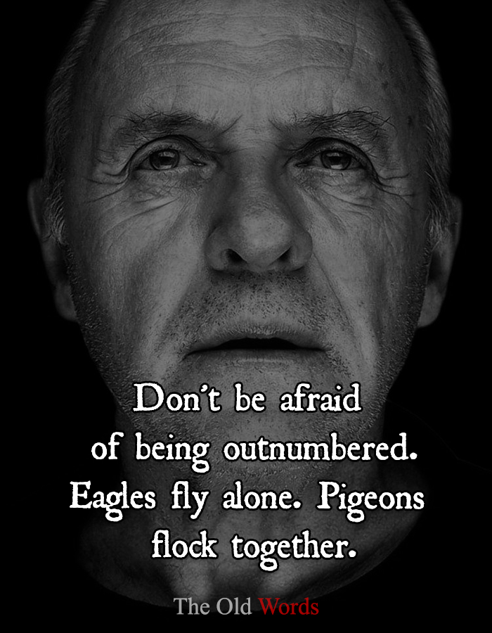 Wisdom_of_Agess's tweet photo. https://t.co/SbrkJJZ1i1