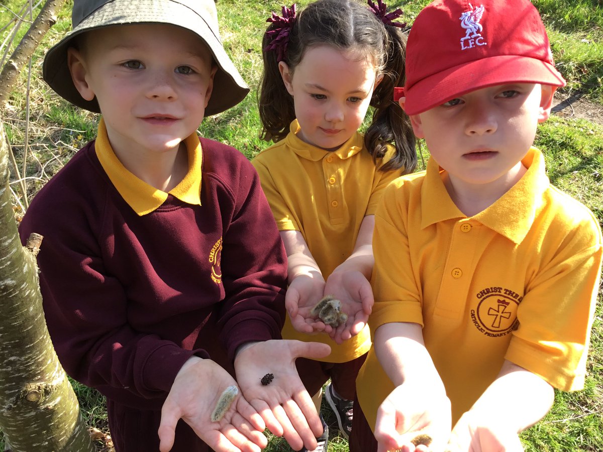 CTKLiverpoolY1's tweet photo. We are exploring the signs of spring. #CTKscience https://t.co/I4wY0jNdKt