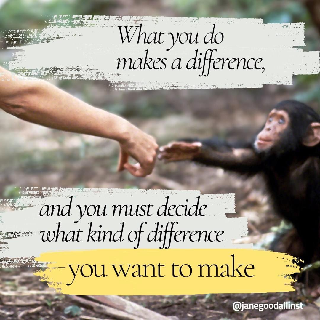 BelliniMom's tweet photo. Do something good today! For yourself, others, the environment, or an organization you support. Happy 91st Birthday, Jane Goodall! #GoodAllDay @JaneGoodallInst @RootsandShoots https://t.co/rG0uqxEVpq https://t.co/7OPCvNjR3r