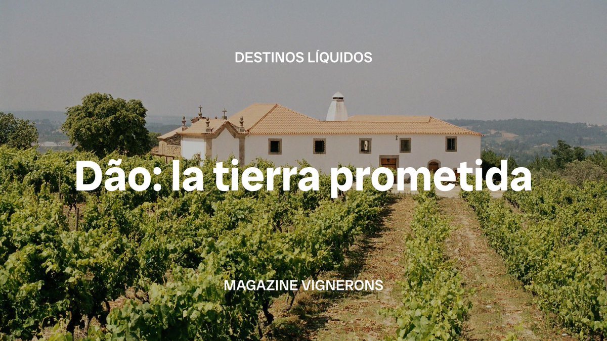 El Dão es una de esas regiones que pasa desapercibida en el radar hedonista.

Mariana Moura nos invita a descubrir los secretos de este tesoro de Portugal en el Magazine Vignerons, donde recomienda qué visitar, qué comer y qué descorchar.

bodeboca.com/blog/dao-la-ti…
