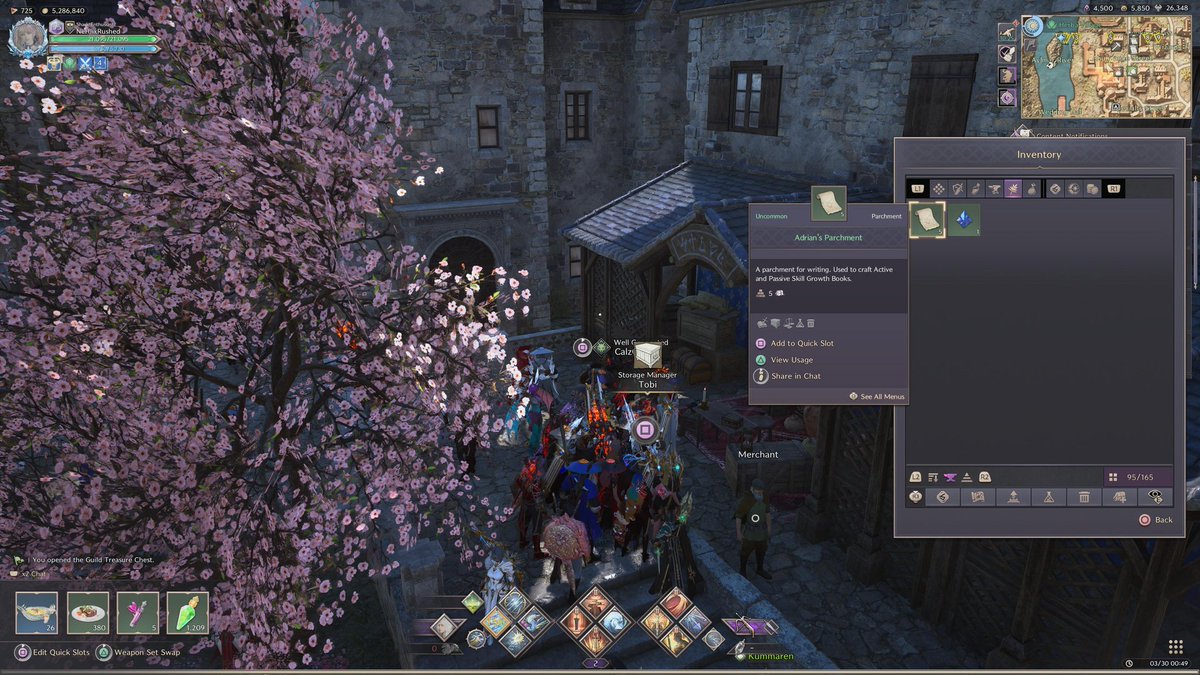 AlabedMaath's tweet photo. @TLGameStatus Please remove these two from my inventory! This is from the old patch before the Talandre expansion and I can't dissolve/sell/ delete them. It has taken inventory space. It's from back when we had passive/active skill book. https://t.co/juP7lQ5jUT