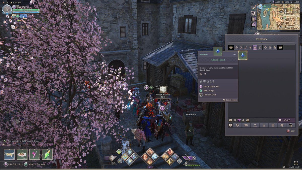 AlabedMaath's tweet photo. @TLGameStatus Please remove these two from my inventory! This is from the old patch before the Talandre expansion and I can't dissolve/sell/ delete them. It has taken inventory space. It's from back when we had passive/active skill book. https://t.co/juP7lQ5jUT