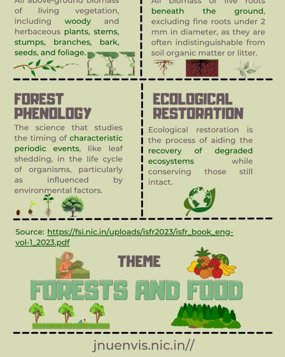 🌿🌍 Celebrate the beauty and importance of forests
 let’s spread awareness about forest conservation, ecological restoration, and the wonders of nature! 🌱💚

#Forests #Sustainability #EcoRestoration #GreenFuture #SaveNature #jnueiacp #eiacp #infographic