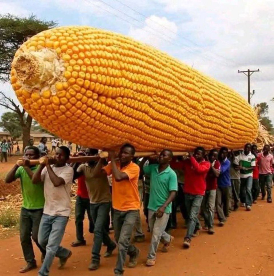 jominabuna2's tweet image. In 2023 people were büIIied so much that they lost the confidence to support the candidate they believe in. Is that what you call democracy?

It will not happen in 2027, this is how we are all going to the polling booth to vote Asiwaju (not APC).

Repost if you will be there 🔂