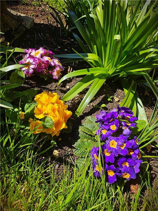 The Cavell Therapy Team tweet media