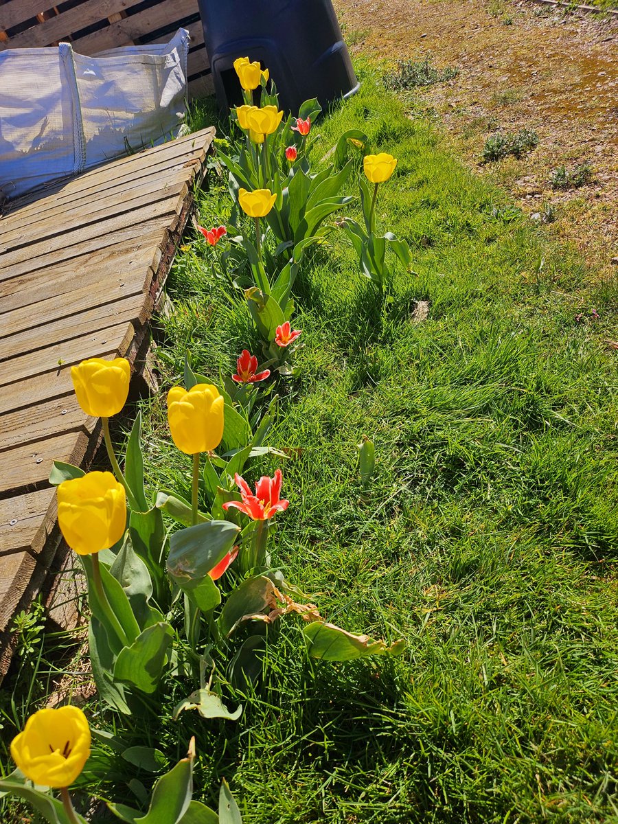 The Cavell Therapy Team tweet media