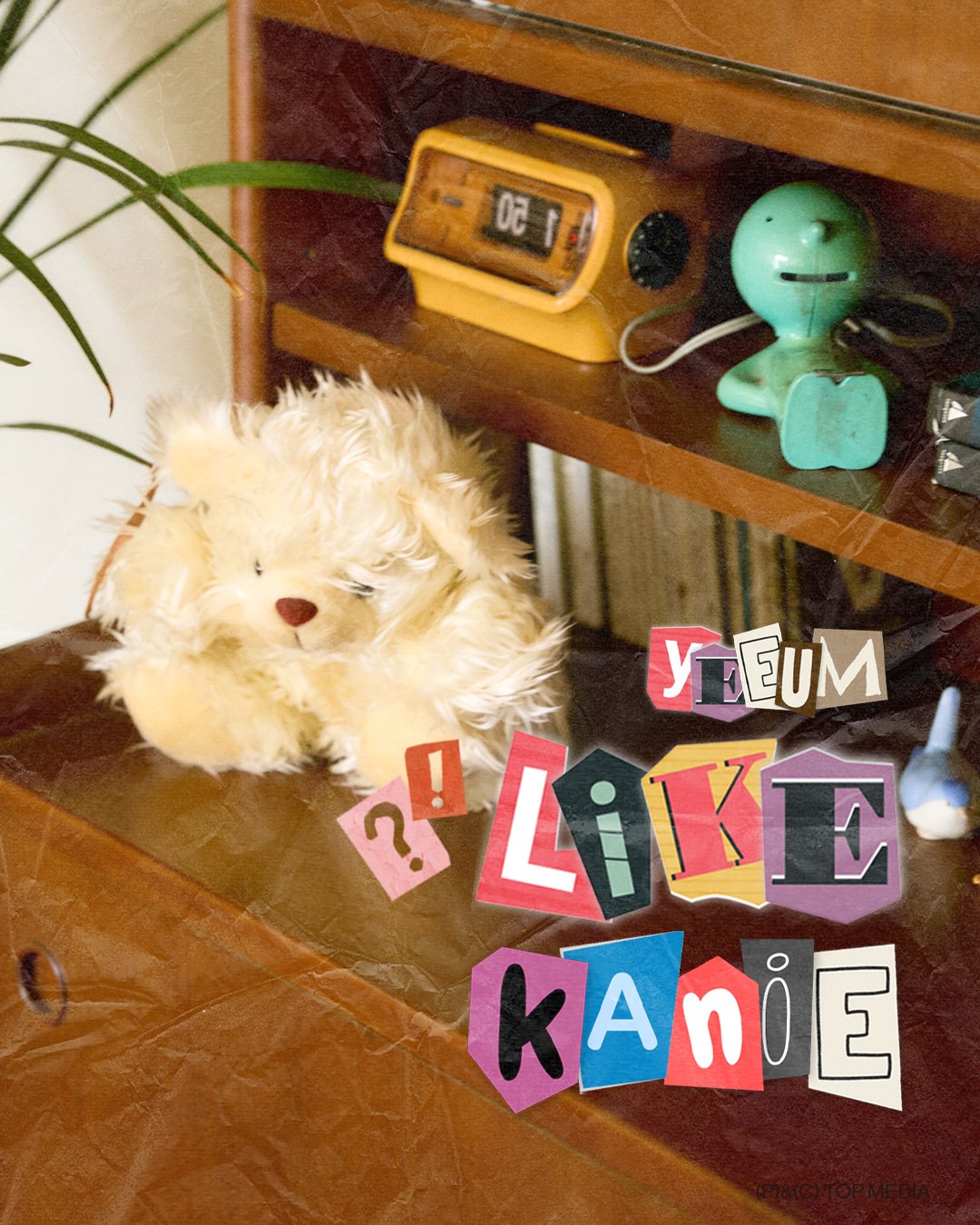 GnmsMQObgAA3Q13?format=jpg&name=large