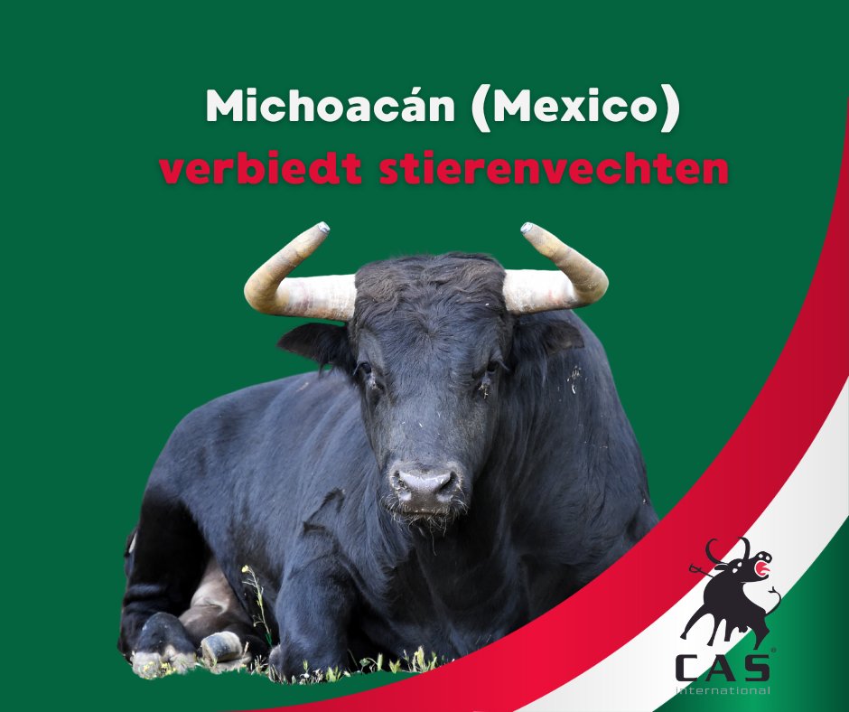 De Mexicaanse staat Michoacán verbiedt stierenvechten !

Hiermee wordt Michoacán de zesde Mexicaanse staat met een verbod op stierenvechten. Ook Mexico-Stad verbood recentelijk de traditionele stierengevechten. Lees alles over het verbod in Michoacán!

cas-international.org/nieuws/michoac…