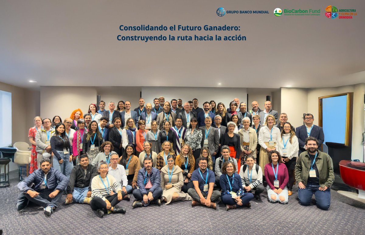 John Africano BPG #CarneNaturalTropical tweet media