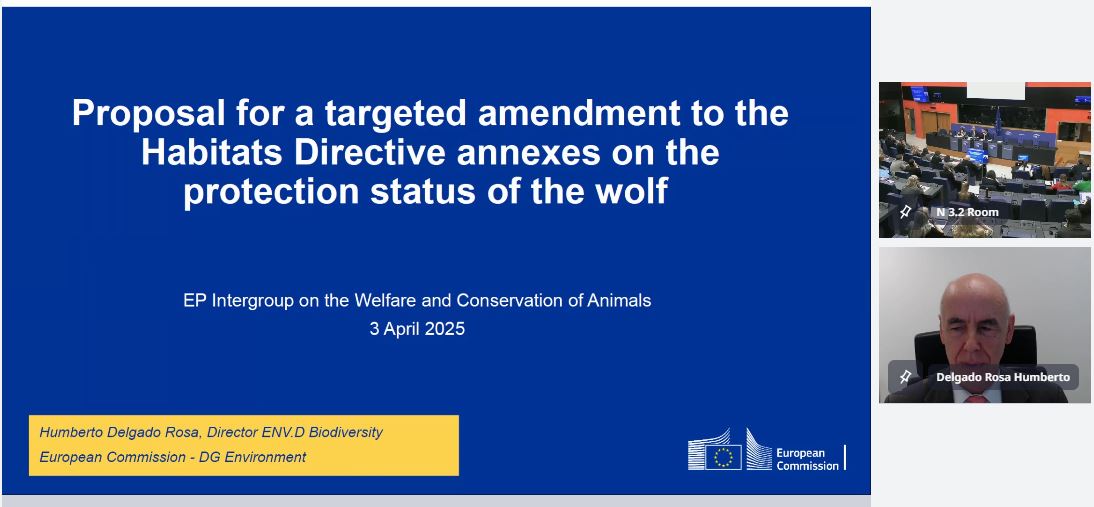 Intergroup on Welfare and Conservation of Animals tweet media