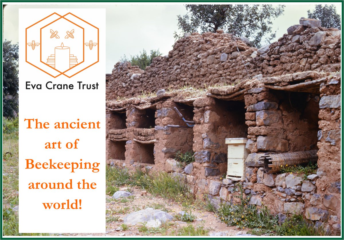 Dr. Eva Crane never missed an opportunity to visit beekeepers &amp; apiaries across the globe! This stunning bee shelter in Morocco, captured in 1964, is a testament to the deep-rooted traditions of beekeeping.
#ThrowbackThursday #beekeeping #Morocco #BeeBoles