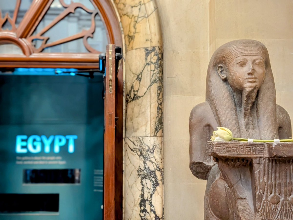 Dr Campbell Price tweet media