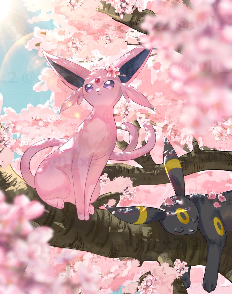 エーフィ、ブラッキー 日光浴 #エーフィ #ブラッキー