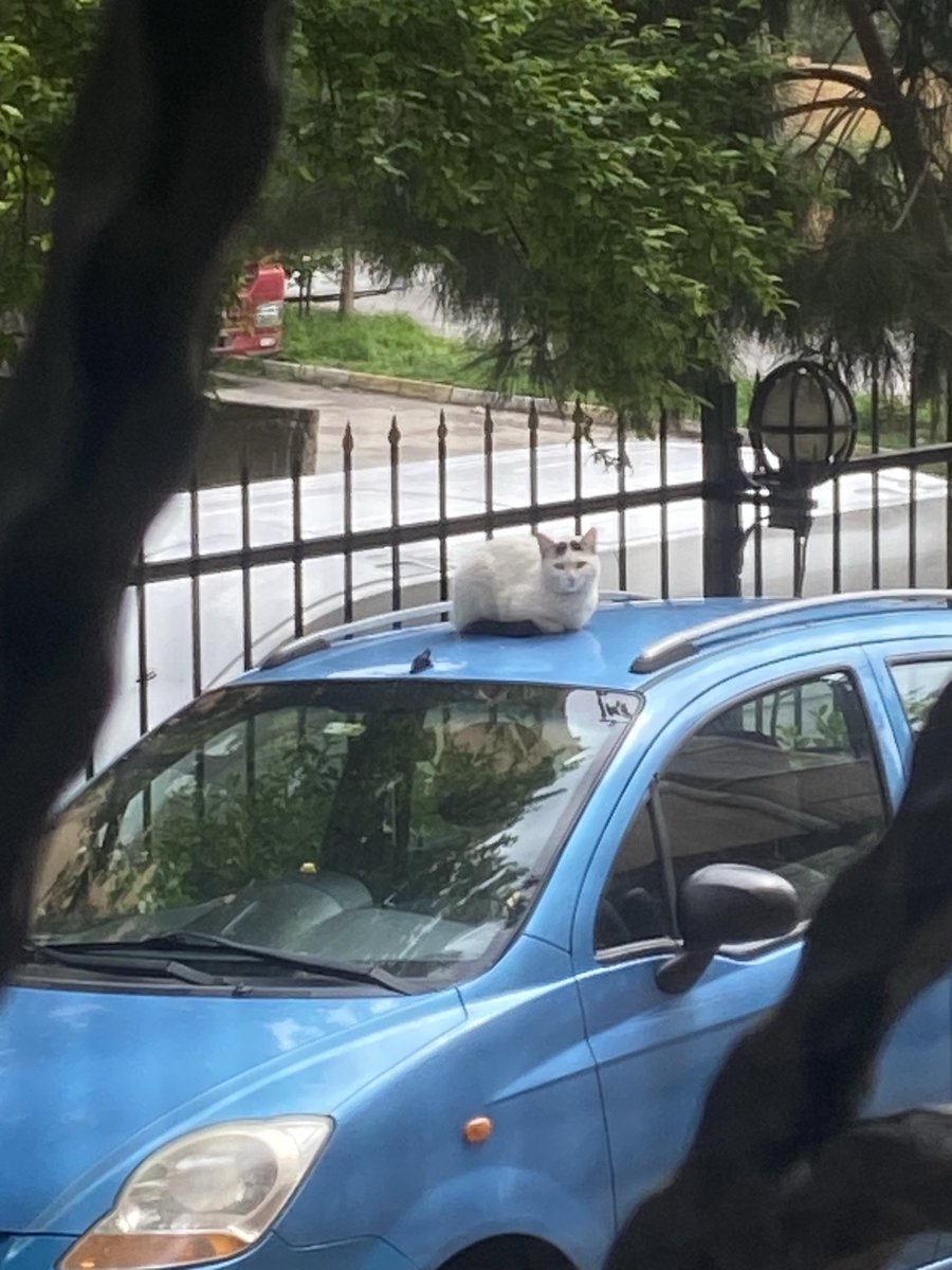 Ben binene kadar arabayı ısıtıyor 🤣😻