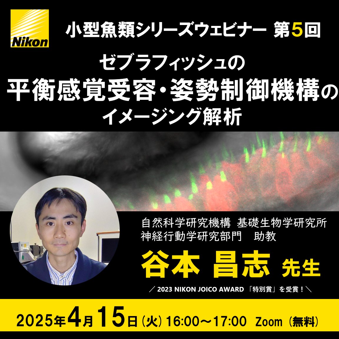 基礎生物学研究所広報室 NIBB (@NIBB_Public) / X 基礎生物学研究所広報室 NIBB (@NIBB_Public) / X