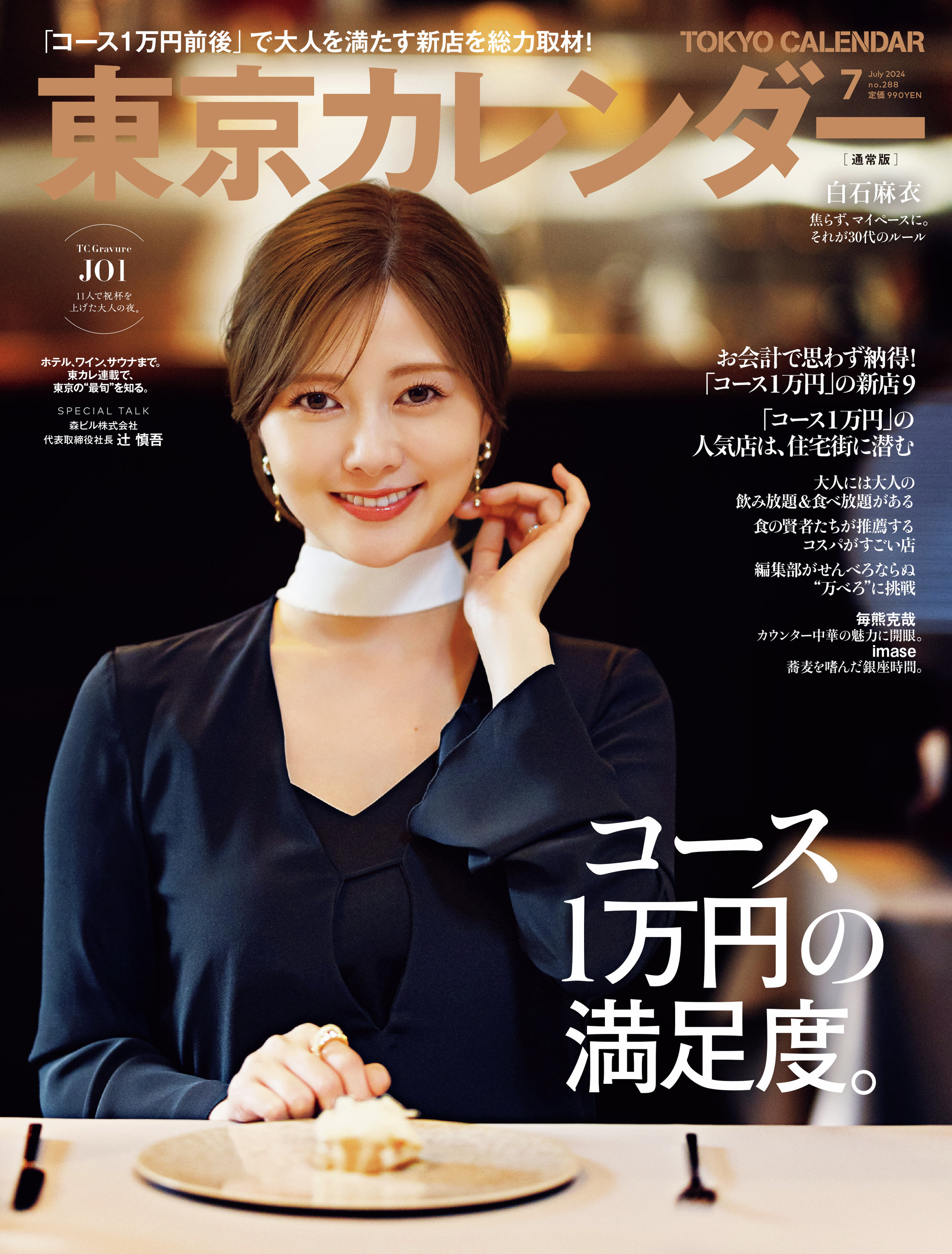 Shiraishi Mai 2013 Calendar白石麻衣
