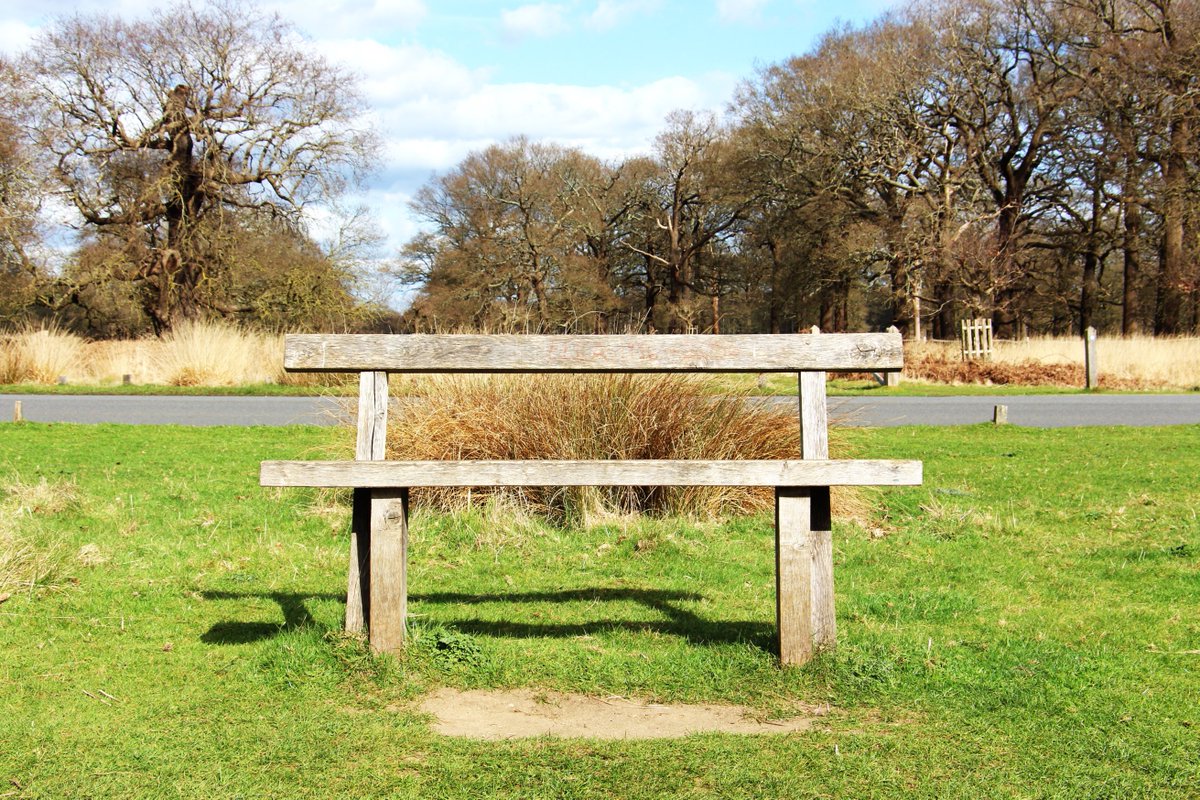 N19Matty's tweet image. Richmond Park with The City featured in Pic 2...