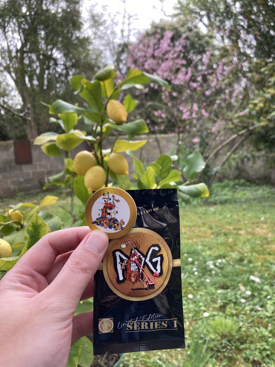 Straight from the US to the home, <a href="/PogDigital/">POG ®</a> from the childhood to forever !

#LFPOG