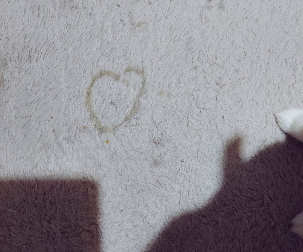 ハートの飛びチッコ