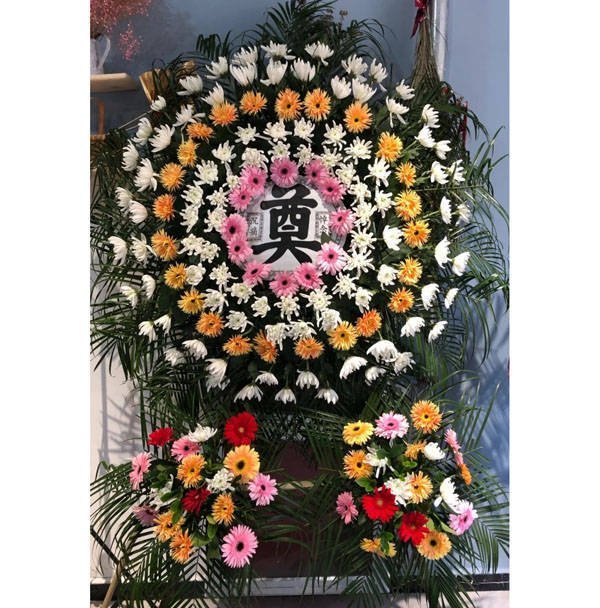 清明节 死妈婊子过节了 傻逼婊子请转发 评论区回复我妈死了 你亲妈暴毙螺旋升天 全家死光 #女权婊 #母狗 #母猪 #白富美 #辱骂 #羞辱 #母畜 #名媛 #女神 #女神婊 #妓女 #反差 #自毁 #男尊女卑 #贱种 #女大 #压榨 #曝光 #社死