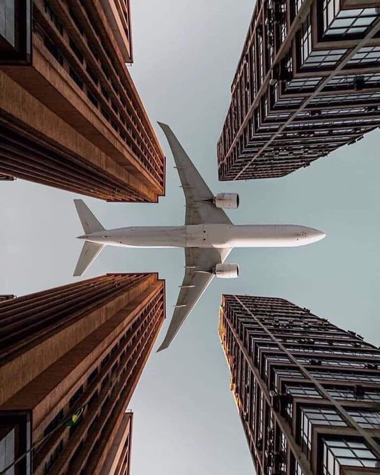 Sizi Memnun Edecek Mükemmel Zamanlanmış Fotoğrafların Dizisi🧵

1. Geometrik hizalama