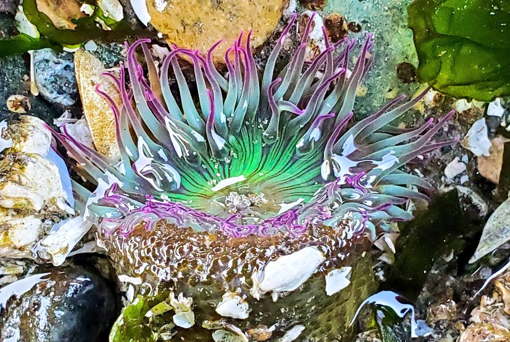 Ghosting Agamemnon 🌬🏛🌋 tweet media