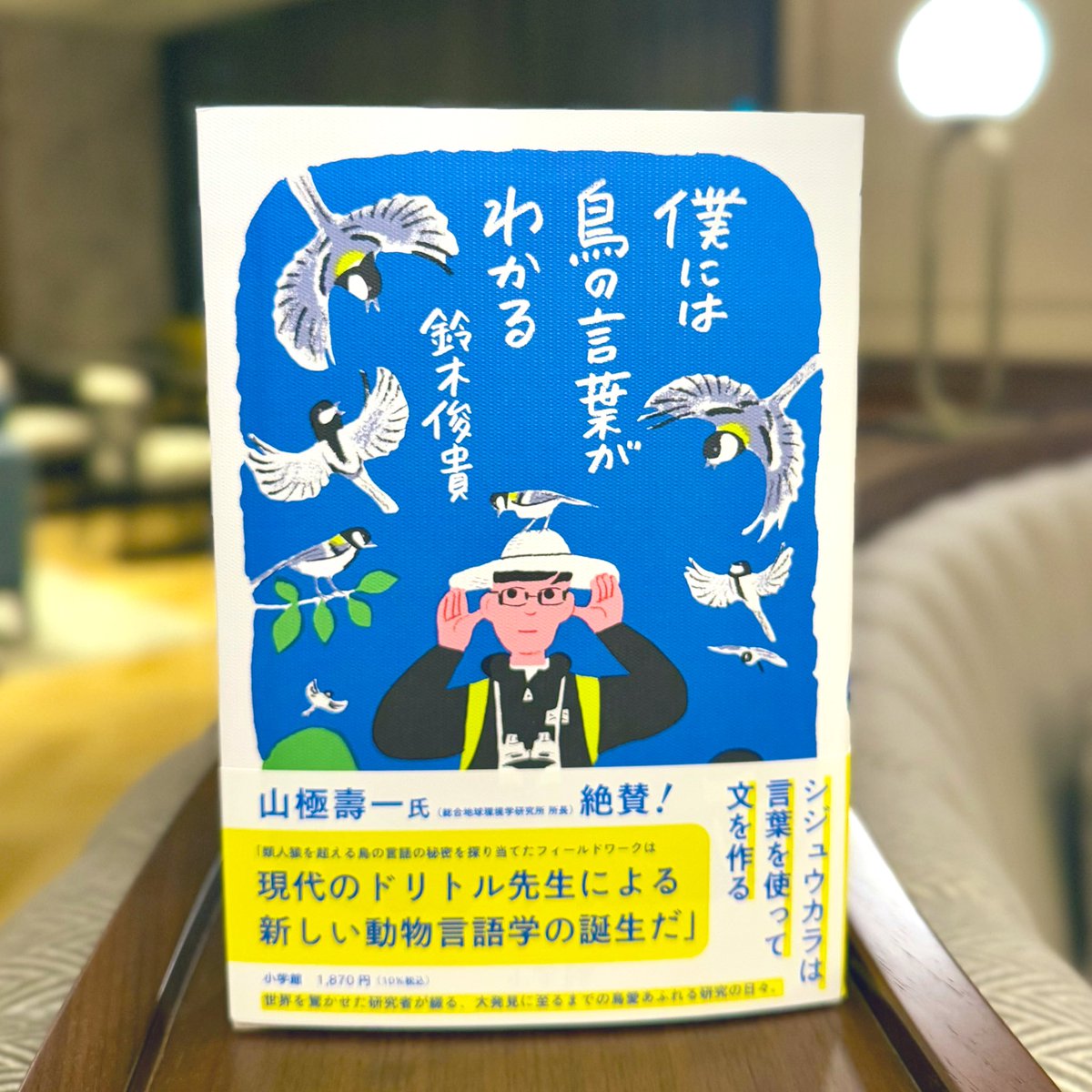 希少 中学受験 「虎の巻」テキスト&DVD 合格の5原則 幼児教室 ひまわり