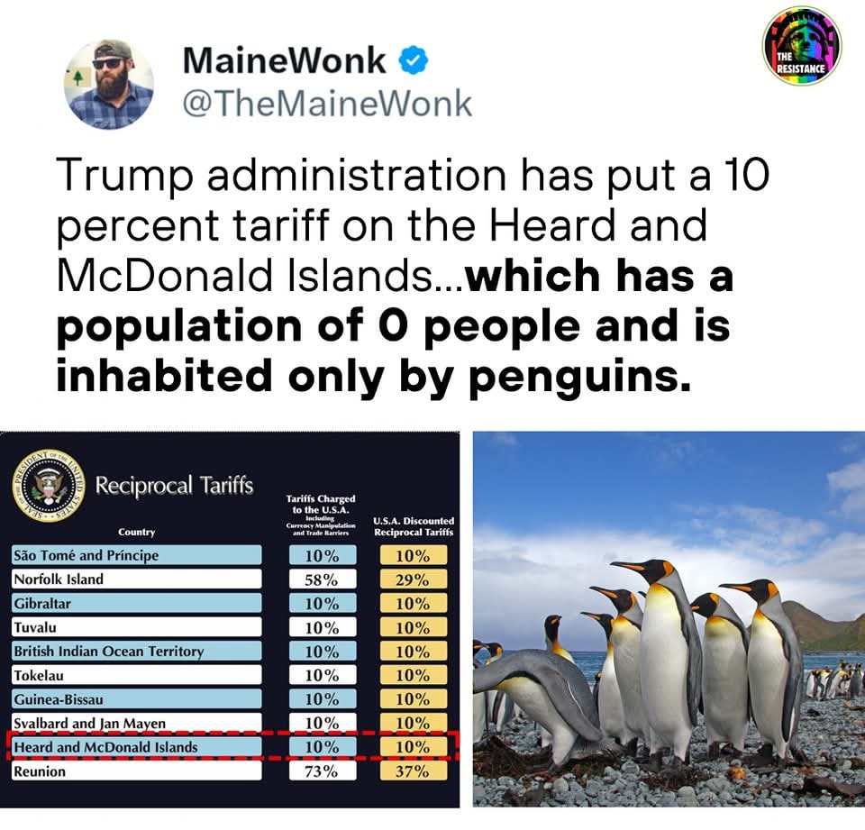 MarkGlenn417656's tweet photo. He's a imbecile https://t.co/jZE5JdRdAR