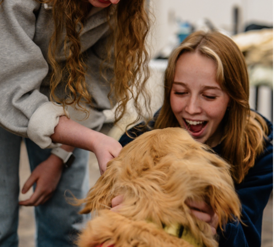 The B.A.R.K. Dogs: Friends in Tough Times

Let's talk about dogs and people. 

Instead of covering the data, which can be boring, I'm going to paint a picture, one dog program at a time. 

These stories are impossible to guard your heart against.
