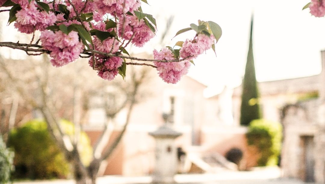 Coquillade Provence tweet media