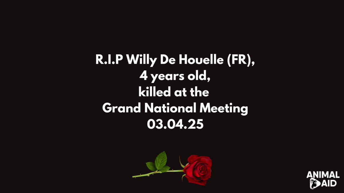Animal Aid tweet media