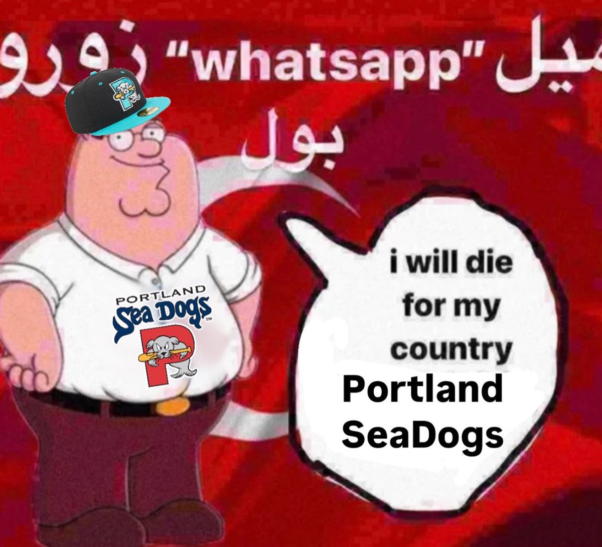 Seadogsfan69 tweet media