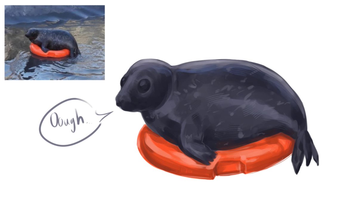 panungbe11's tweet image. Day 60 🛟 #sealtwt