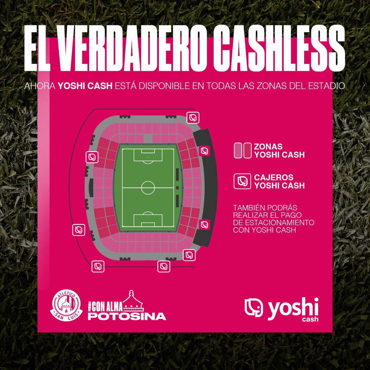 ¡El Alfonso Lastras será 100% cashless a partir del sábado gracias a <a href="/YoshiCashless/">Yoshi Cash</a>! 🏟️💳

ℹ️ ¿Tienes dudas? Entra aquí 👉🏼 shorturl.at/sq8IN

#ConAlmaPotosina